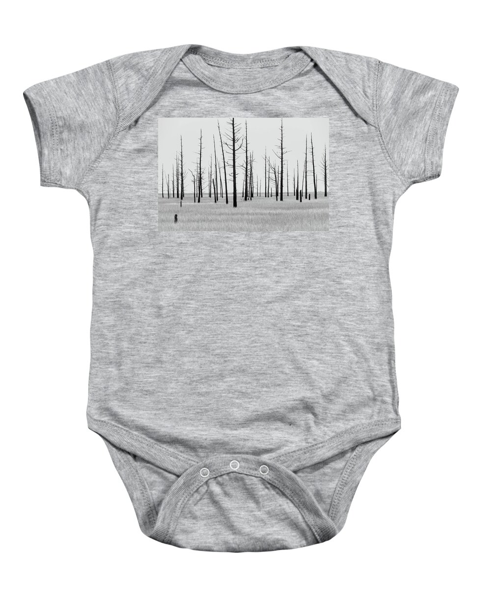 Landscape Baby Onesie featuring the photograph Trees Die off by Louis Dallara