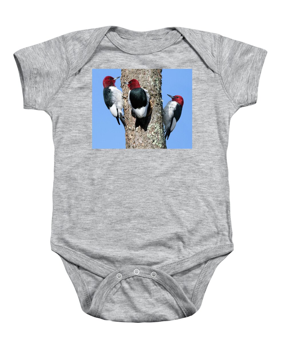 Red Headed Woodpecker Baby Onesie featuring the photograph Tripecka by Art Cole