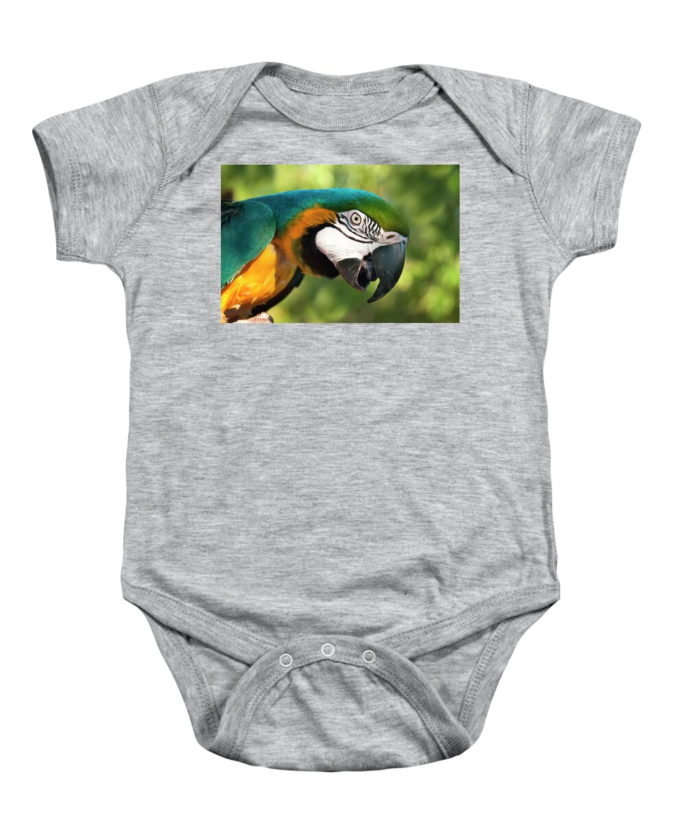 Parrot Baby Onesie featuring the photograph Tropical Parrot by Alida Thorpe