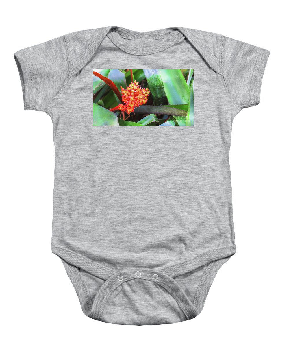 Tropical Plant Costus By Marina Usmanskaya Baby Onesie featuring the photograph Tropical plant Costus by Marina Usmanskaya