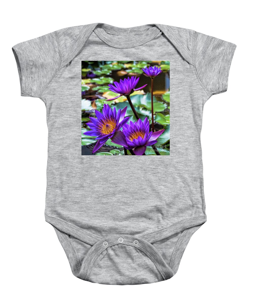 Water Lily Baby Onesie featuring the photograph Tropical Water Lilies by Karen Lewis