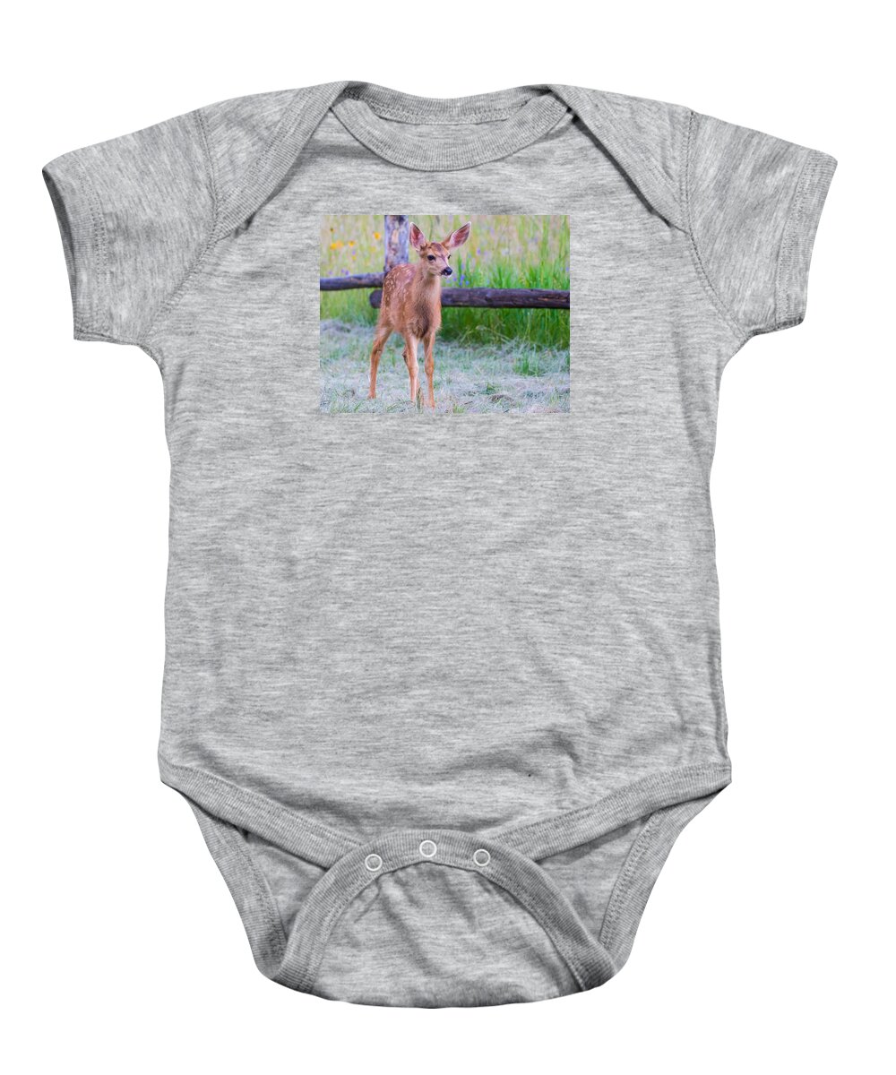 Mule Deer Fawn Baby Onesie featuring the photograph Twilight Fawn #2 by Mindy Musick King