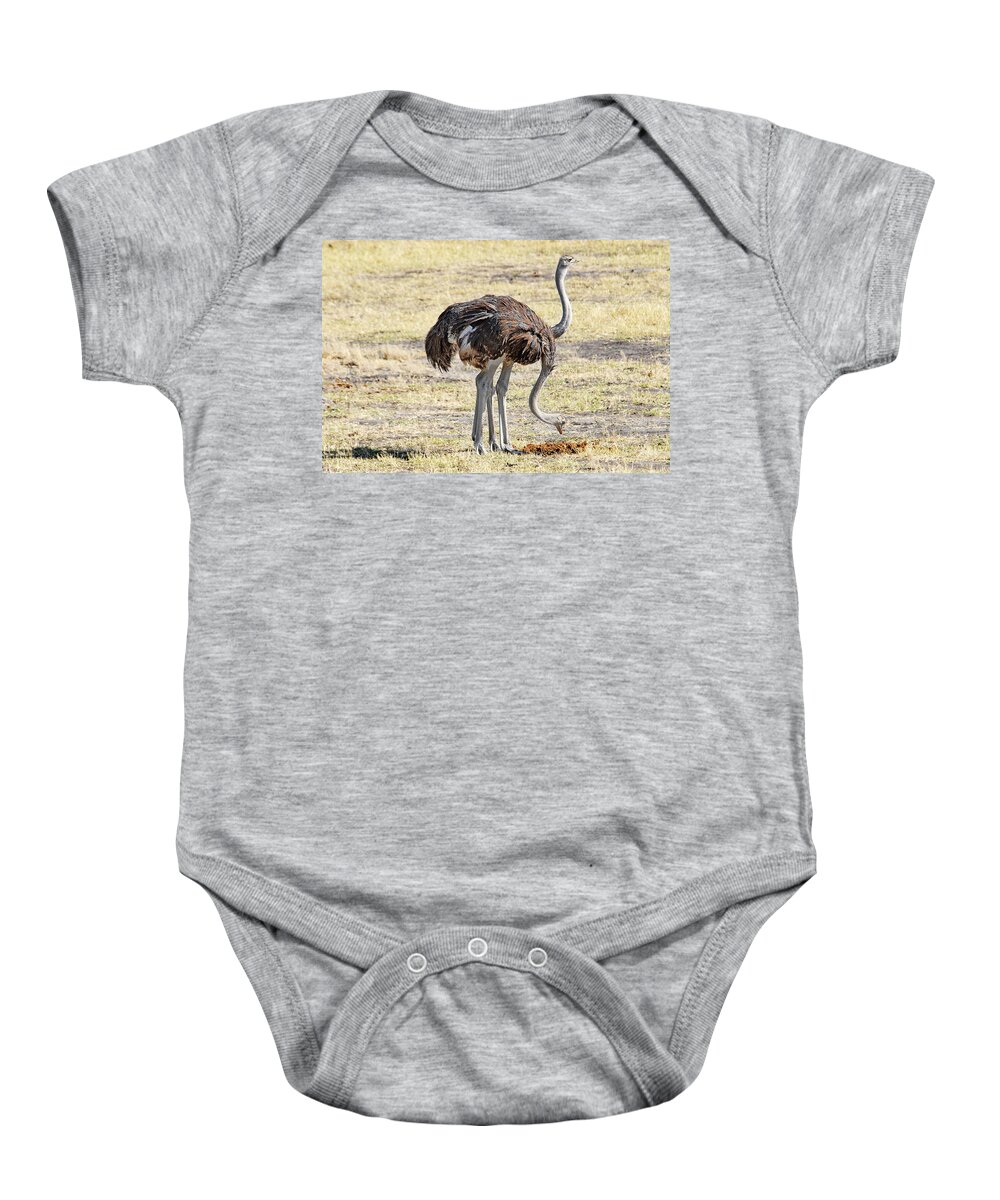 Ostrich Baby Onesie featuring the photograph Two-Headed Ostrich by Ted Keller