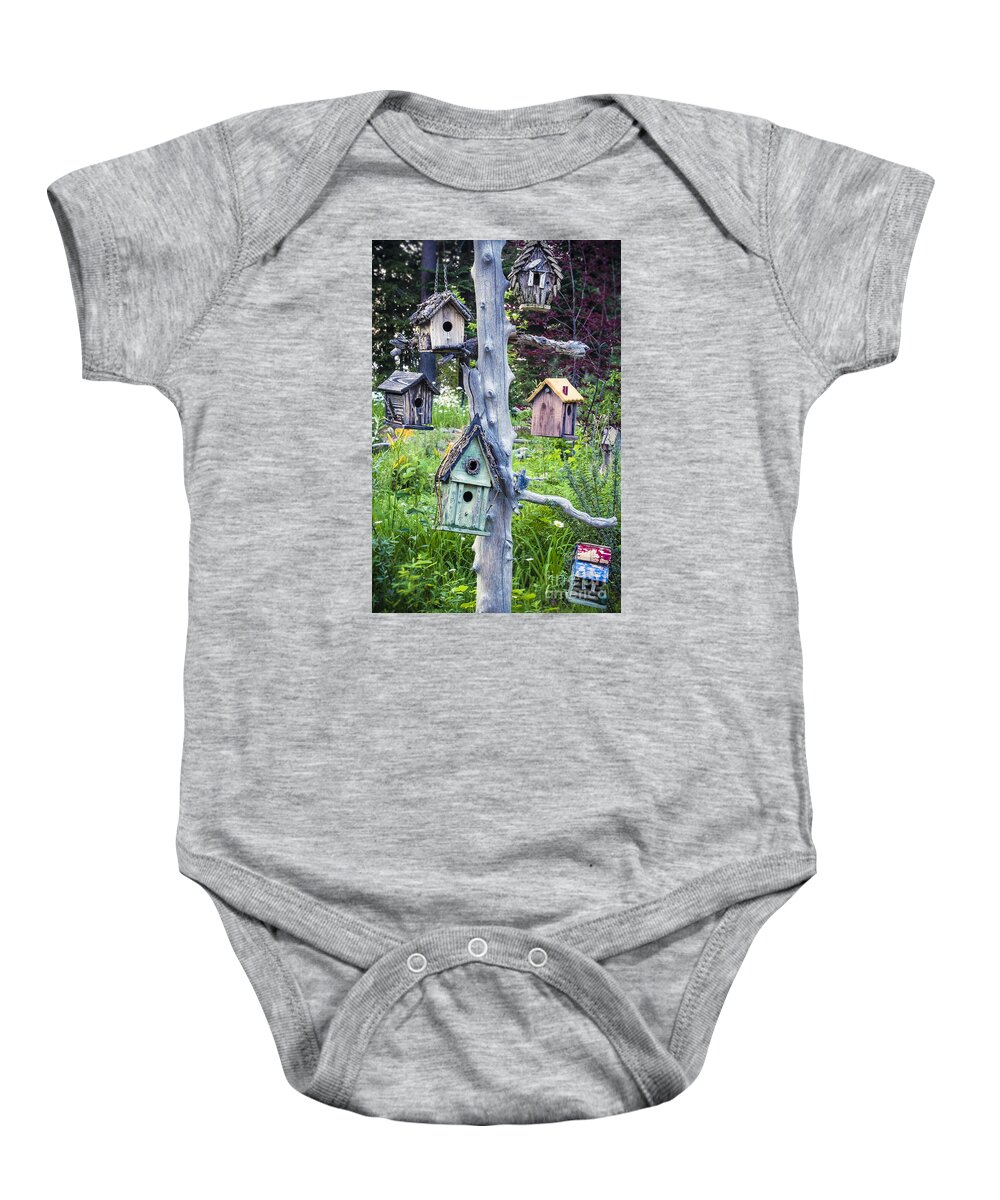 Abundance Baby Onesie featuring the photograph Variety of Birdhouses Hanging on Tree in Garden by Bryan Mullennix