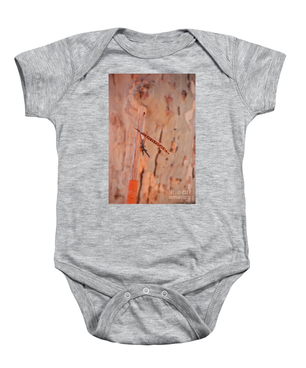 Fine Art Baby Onesie featuring the photograph Walking Stick and Pheasant Feather by Donna Greene