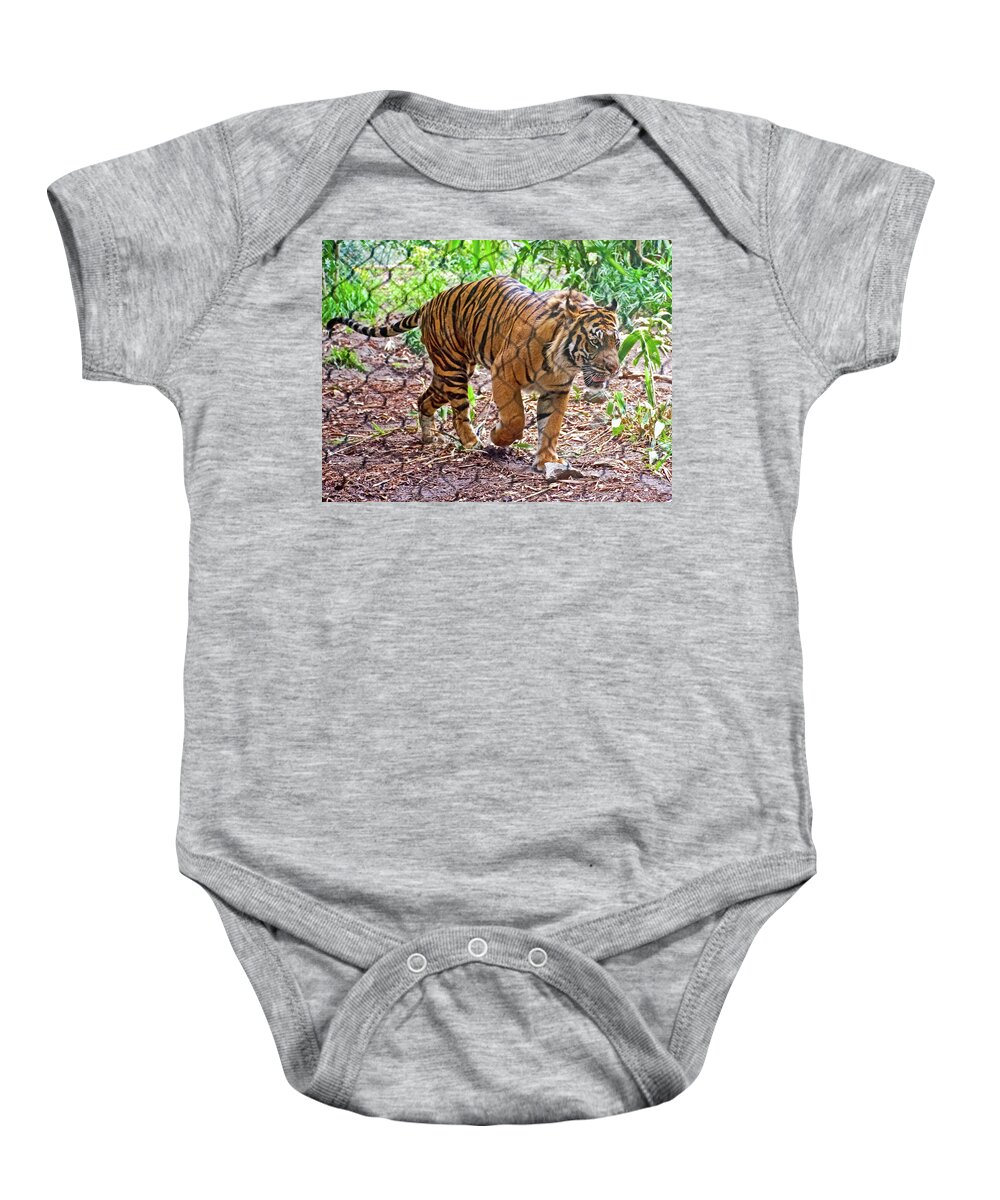 Walking Tiger At San Diego Zoo Safari Park Near Escondido Baby Onesie featuring the photograph Walking Tiger at San Diego Zoo Safari Park near Escondidio, California  by Ruth Hager