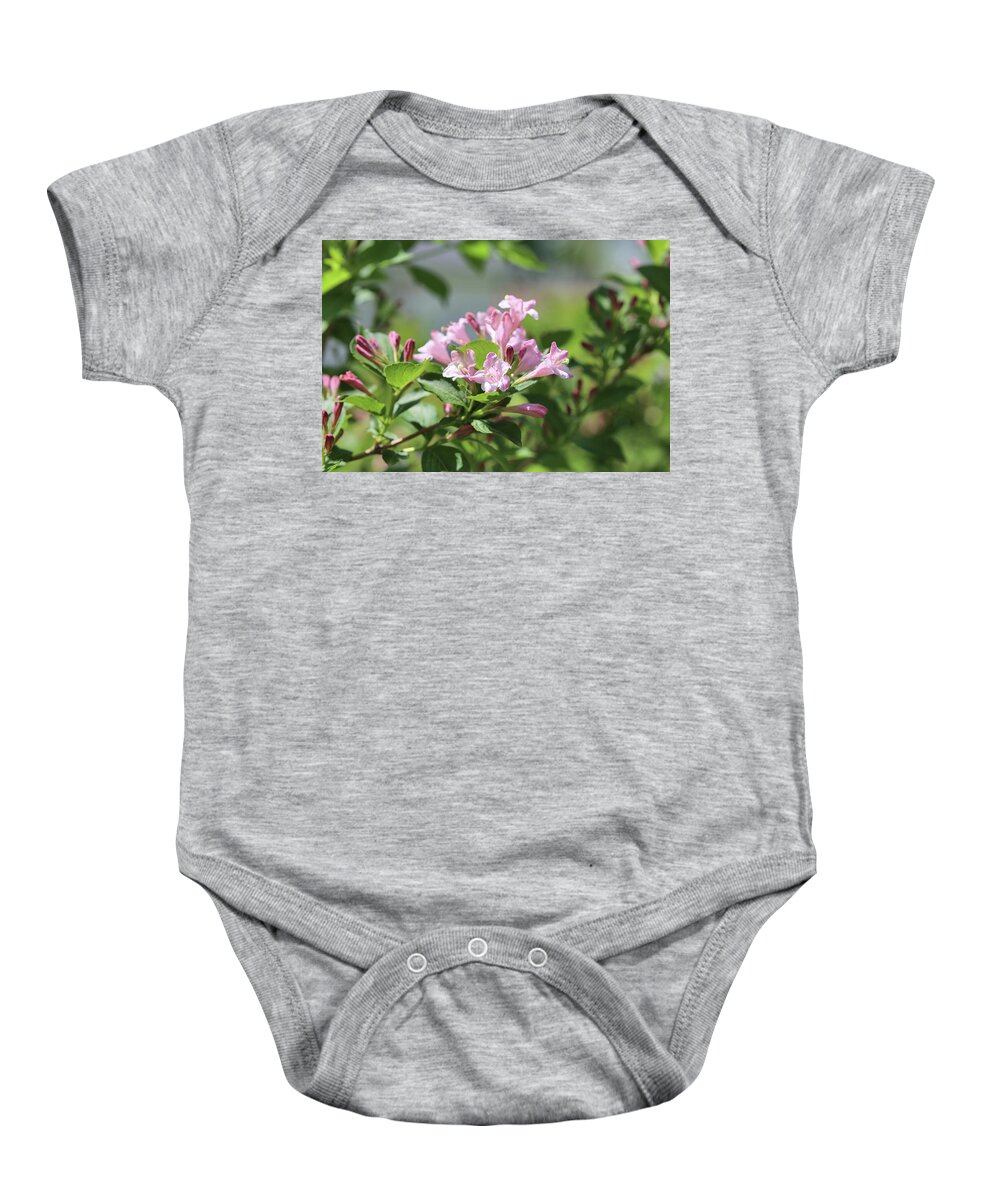 Weigela Baby Onesie featuring the photograph Weigela Pink Princess by Theresa Campbell