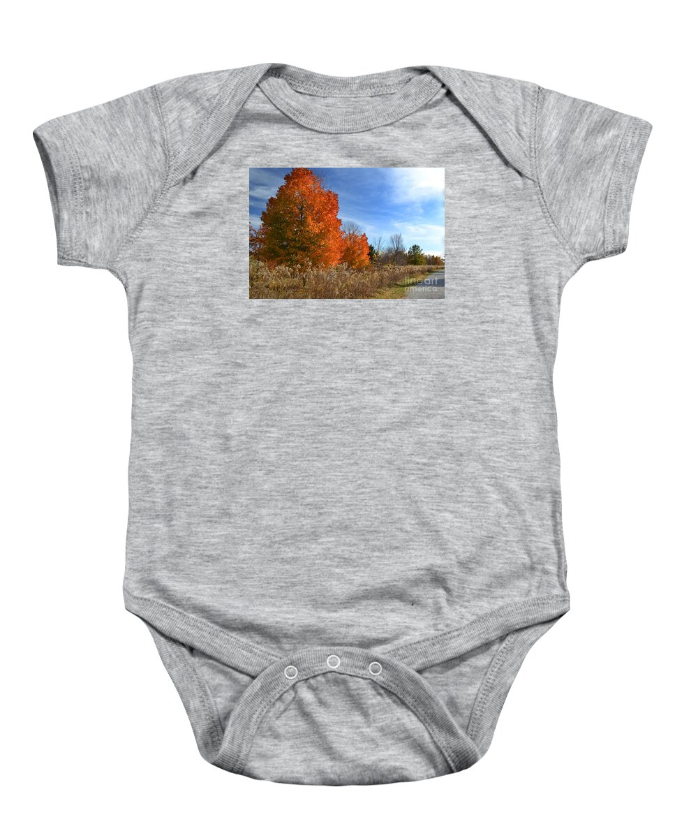 West Park Baby Onesie featuring the photograph West Park Orange Fall Trees by Amy Lucid