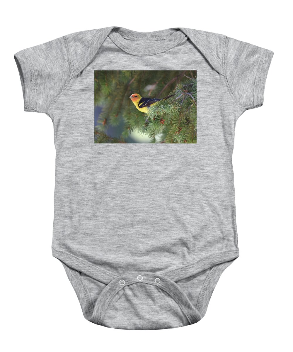  Baby Onesie featuring the photograph Western Tanager by Ben Foster