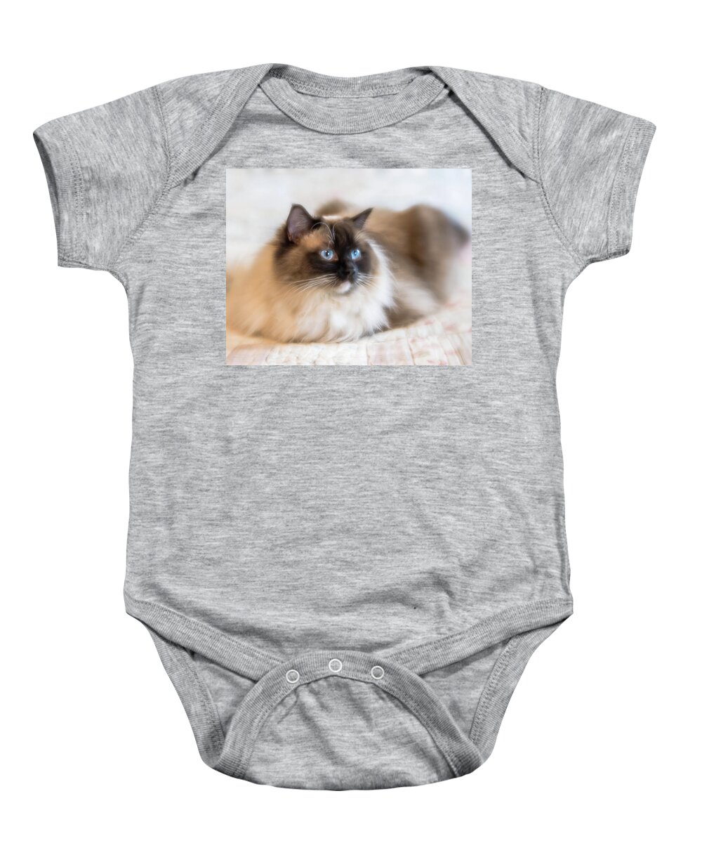 Ragdoll Baby Onesie featuring the photograph What Does She See by Jennifer Grossnickle