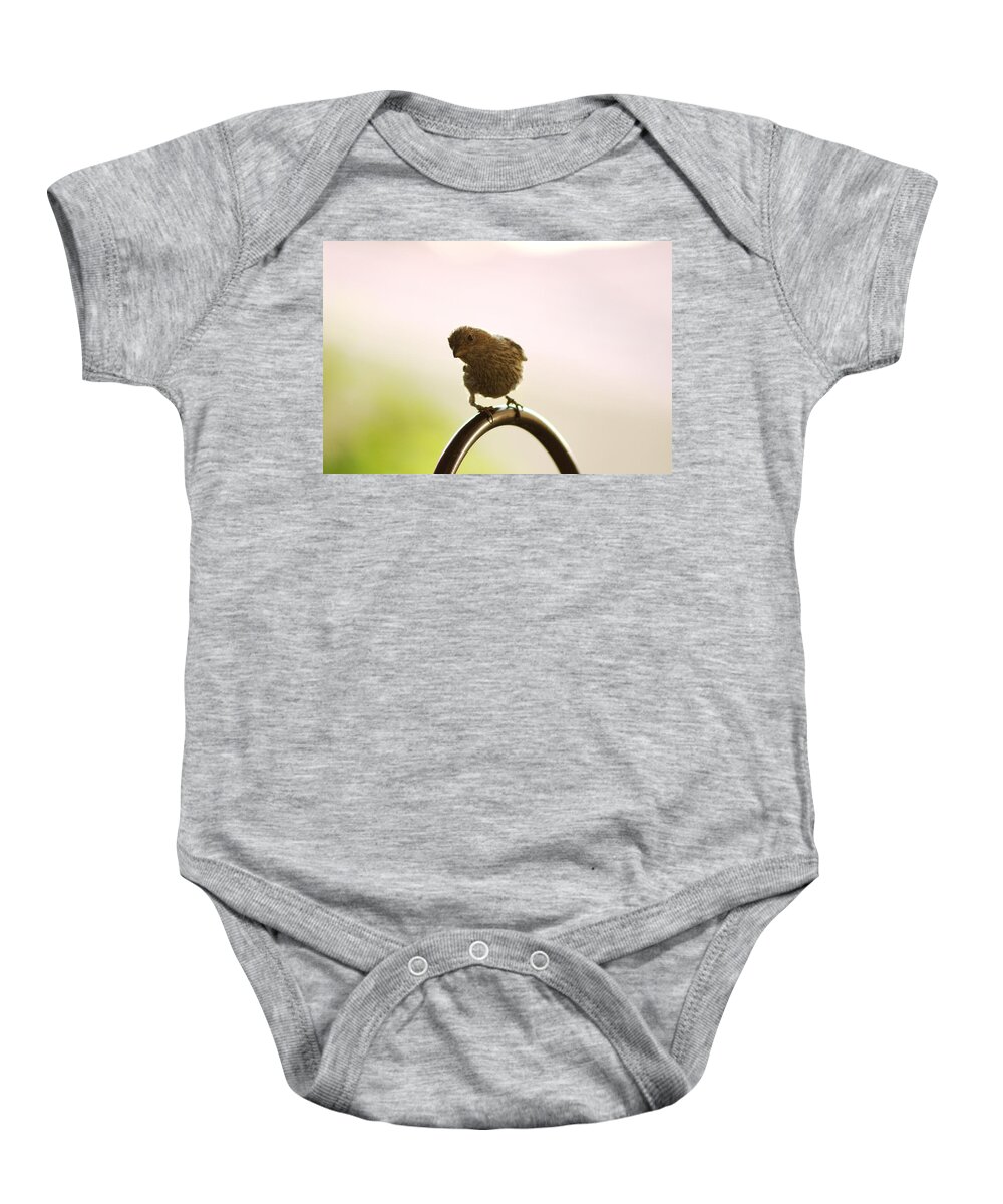 Female House Finch Baby Onesie featuring the photograph Whats Up House Finch by Colleen Cornelius