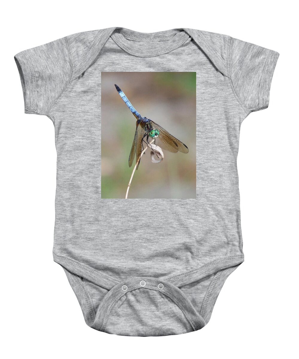Nature Baby Onesie featuring the photograph What's Up by Peggy Urban