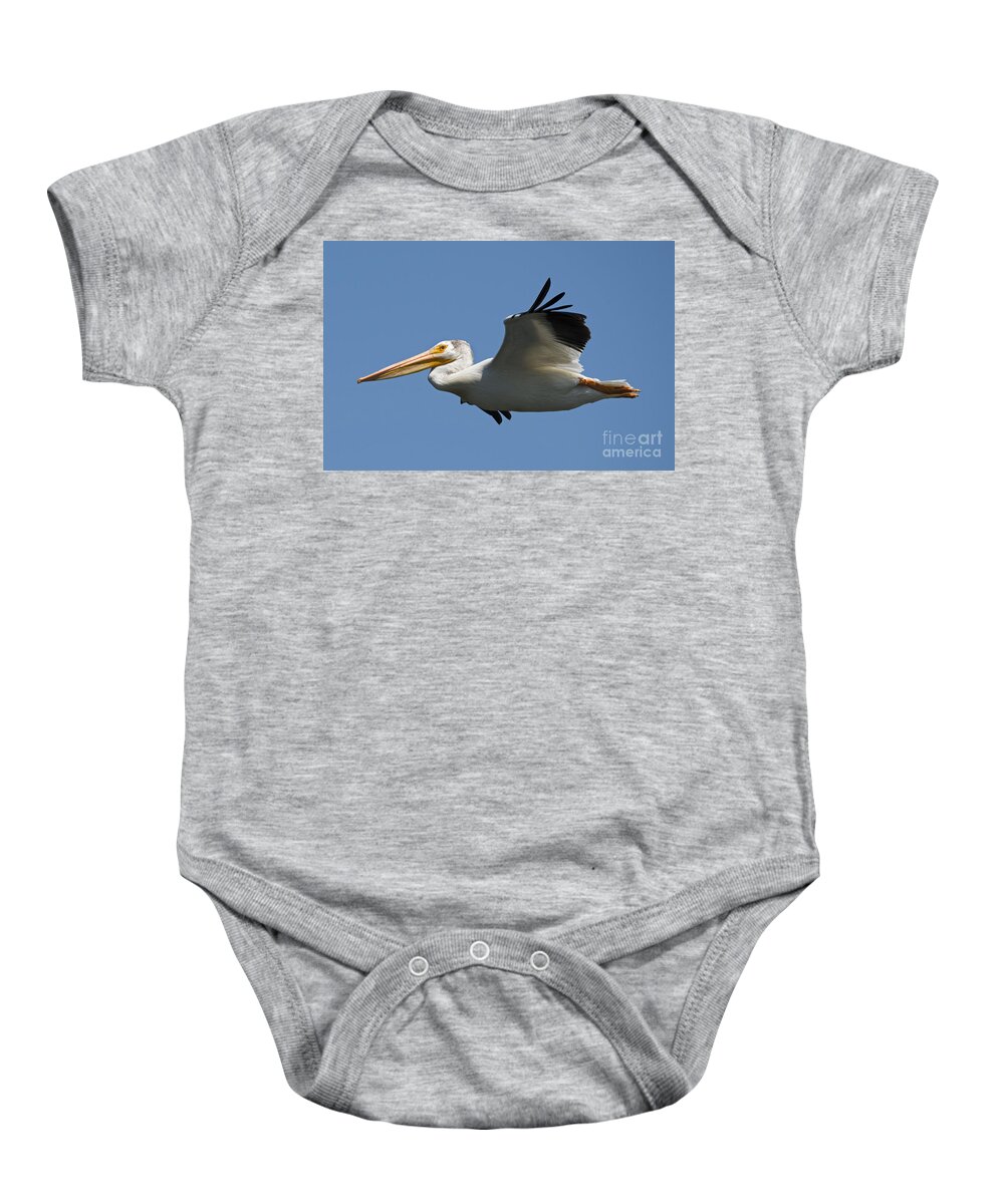American White Pelican Baby Onesie featuring the photograph White on Blue by Michael Dawson