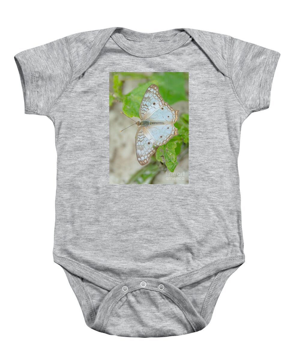 Anartia Jatrophae Baby Onesie featuring the photograph White Peacock Butterfly by Cheryl Baxter