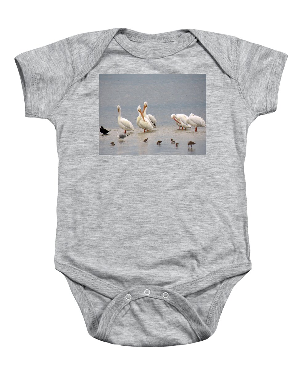 Pelicans Baby Onesie featuring the photograph White Pelicans and Friends by Rosalie Scanlon