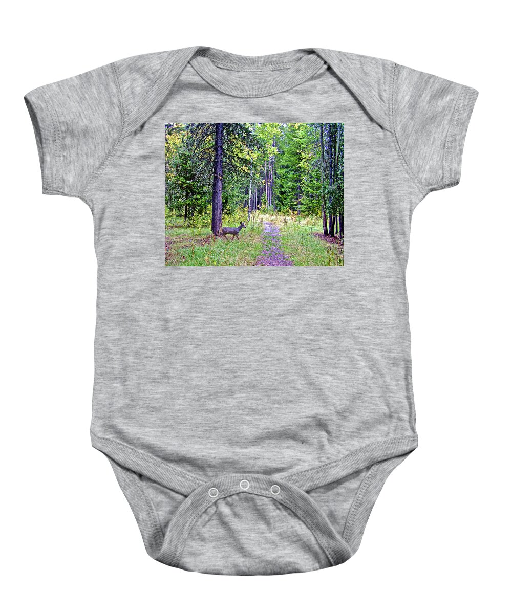 White-tailed Deer In Grand Tetons National Park Baby Onesie featuring the photograph White-tailed Deer in Grand Tetons National Park, Wyoming by Ruth Hager