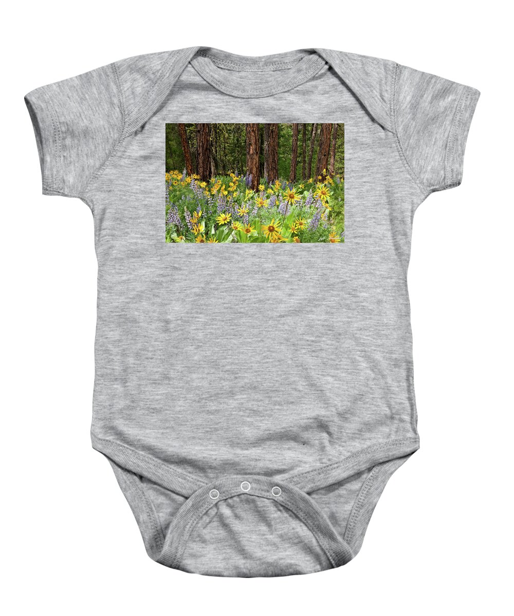 Arrowleaf Balsamroot Baby Onesie featuring the photograph Balsamroot and Lupine in a Ponderosa Pine Forest by Jeff Goulden