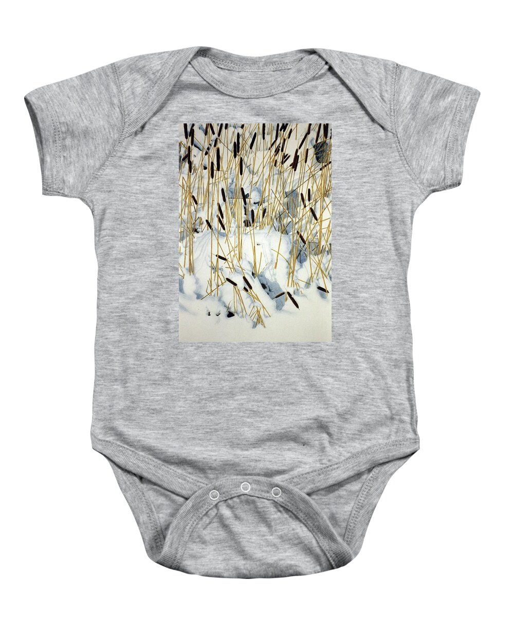 Cattails Baby Onesie featuring the painting Winter Cattails by Conrad Mieschke