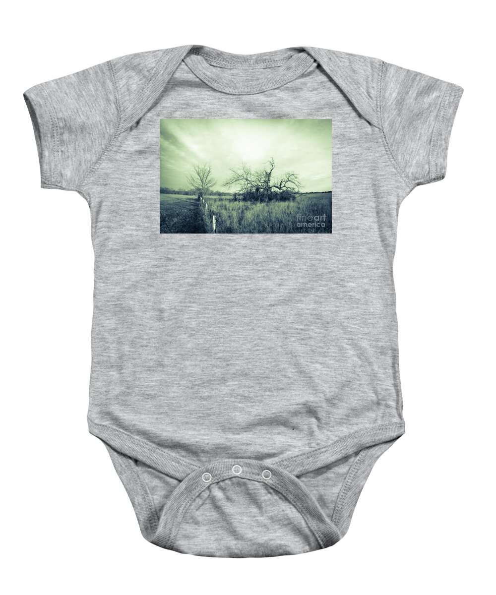 Pecan Baby Onesie featuring the photograph Winter Pecan by Cheryl McClure