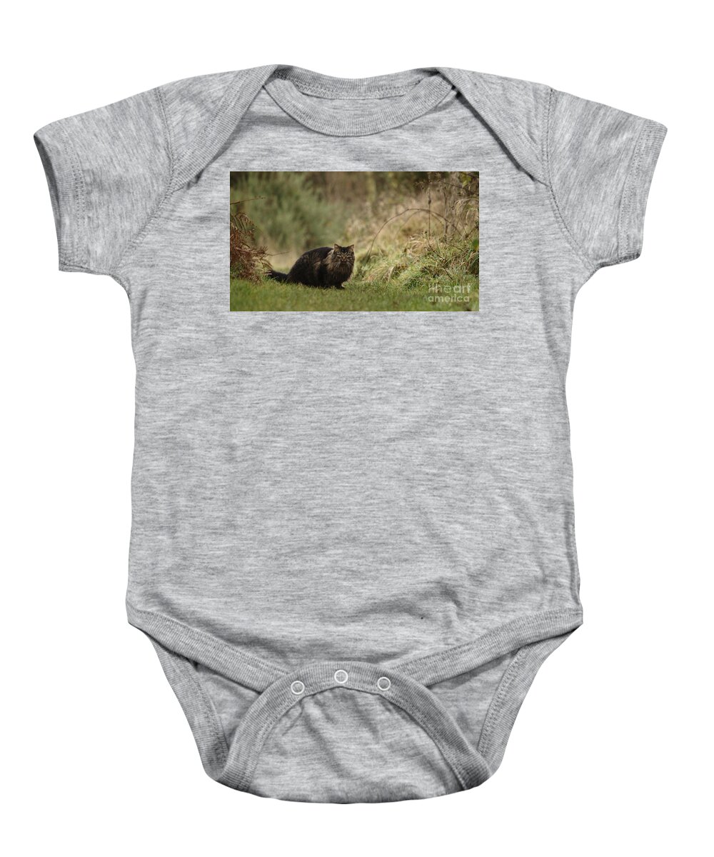 Cat Baby Onesie featuring the photograph Winter Prowl by Adrian Wale