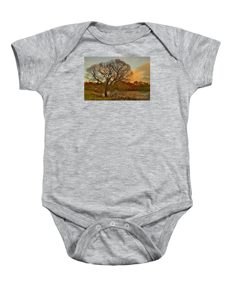 Tree In Winter Baby Onesie featuring the photograph Winter tree on the River Tweed by Martyn Arnold