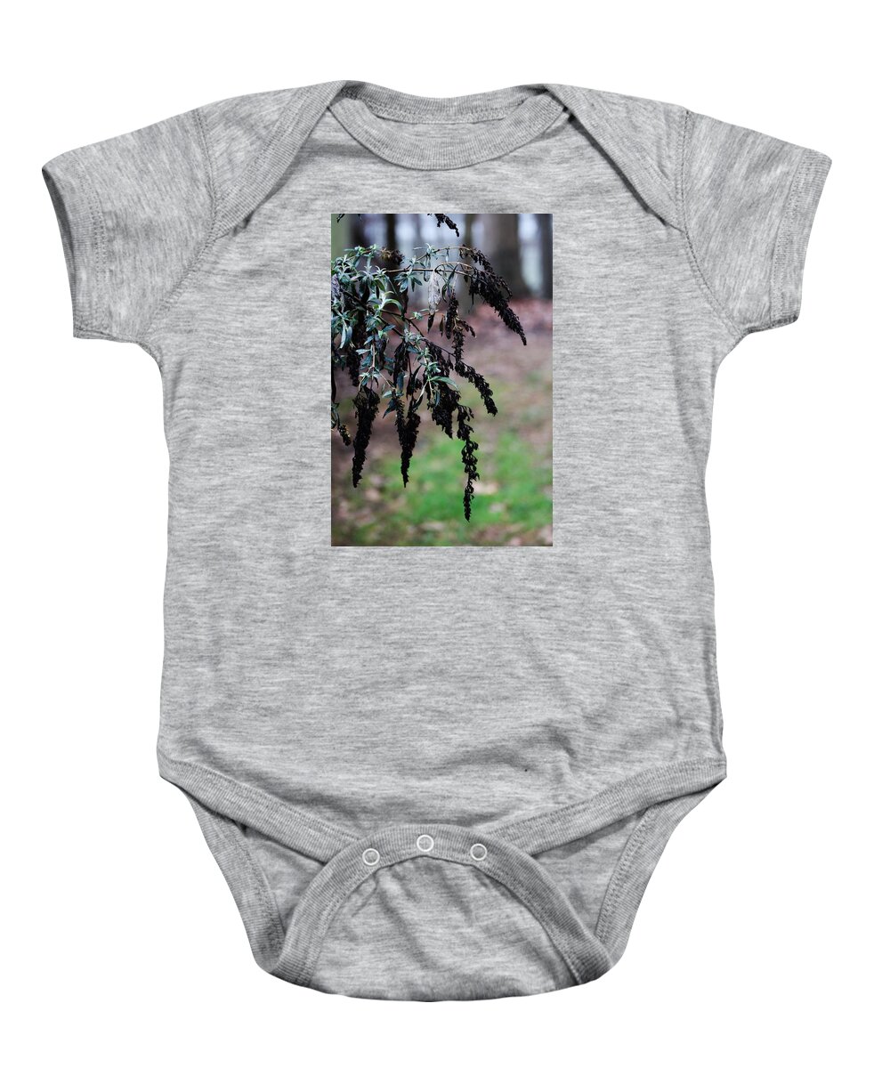 Flowers Baby Onesie featuring the photograph Winter's Vine by Charles Ray