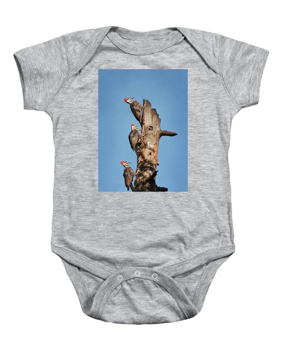 Bird Baby Onesie featuring the photograph Woodpecker Trio by John Christopher
