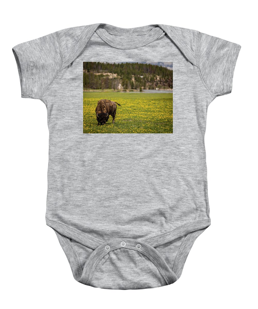 Scenic Baby Onesie featuring the photograph Wyoming Wild by Gary Migues