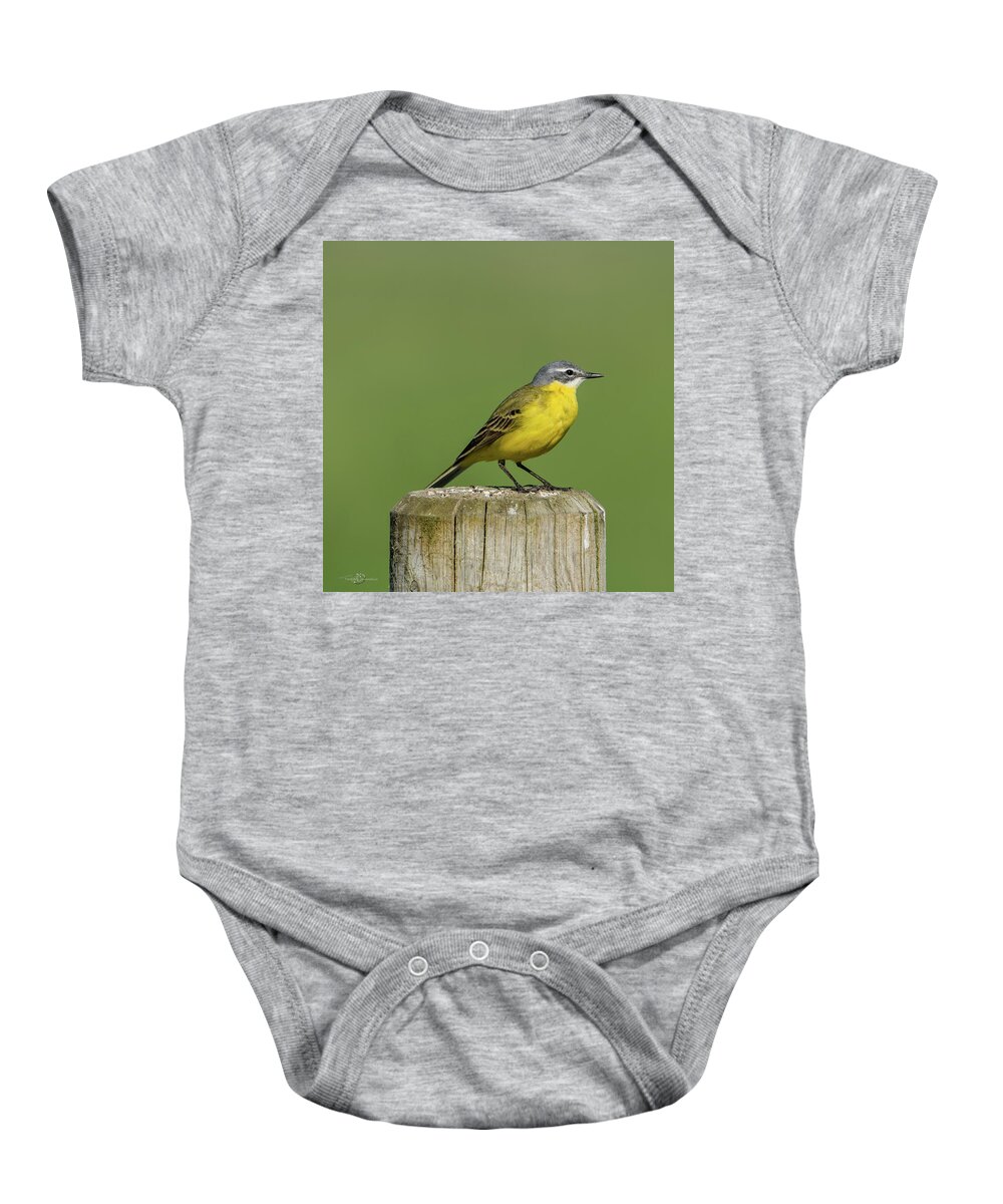 Yellow Wagtail Baby Onesie featuring the photograph Yellow Wagtail perching on the roundpole a close-up by Torbjorn Swenelius