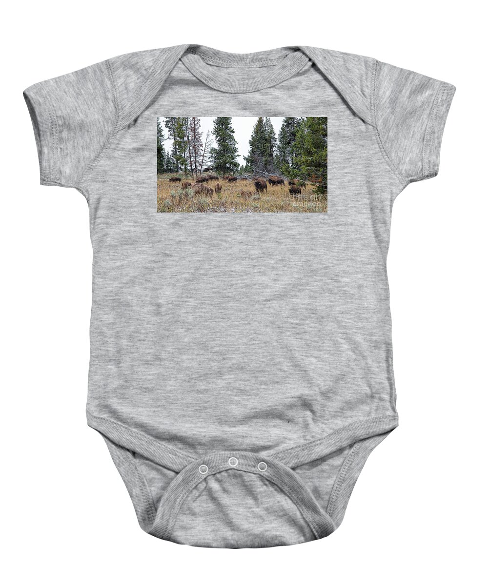 Yelowstone Baby Onesie featuring the photograph Yellowstone Buffalo by Jim Garrison