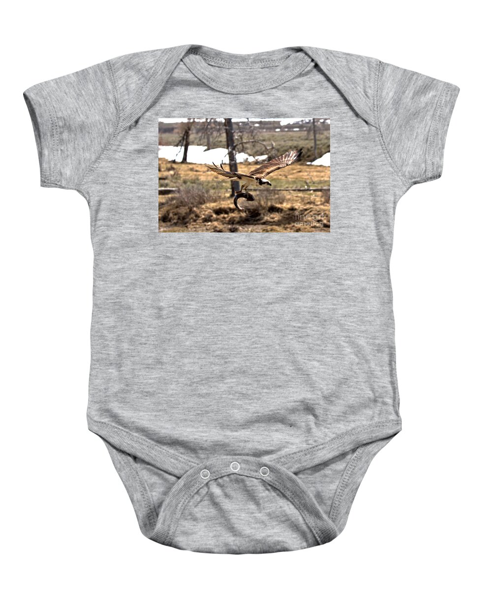 Osprey Baby Onesie featuring the photograph Yellowstone Osprey Feast by Adam Jewell