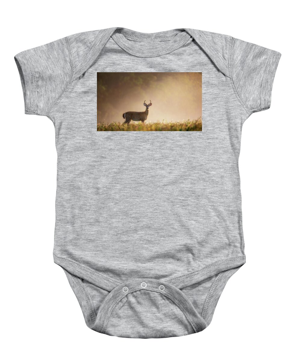 Buck Baby Onesie featuring the photograph Young Buck by Bill Wakeley