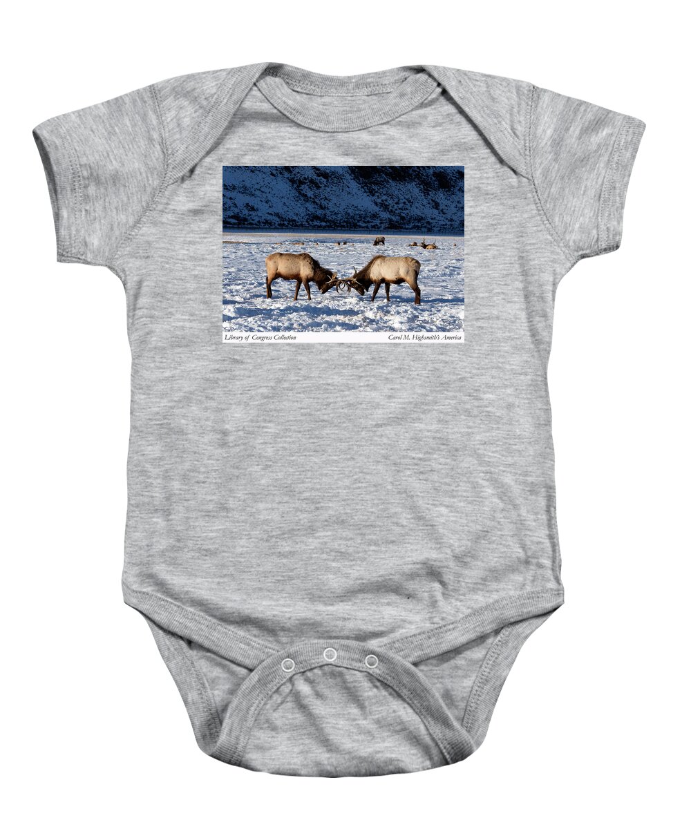 Carol M. Highsmith Baby Onesie featuring the photograph Young bull elk in Jackson Hole in Wyoming by Carol M Highsmith