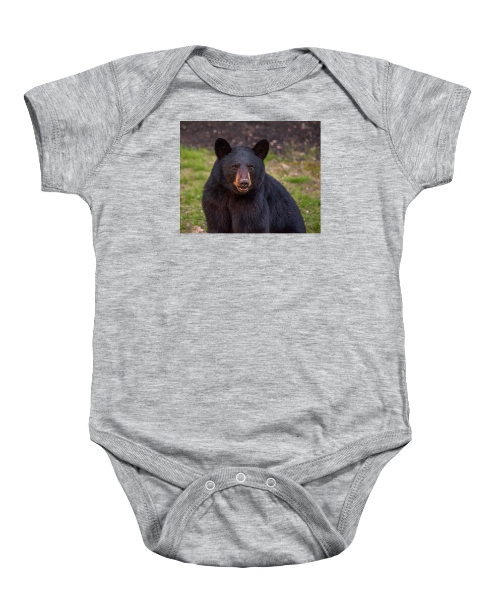 Animal Baby Onesie featuring the photograph Young Male Black Bear by Brenda Jacobs