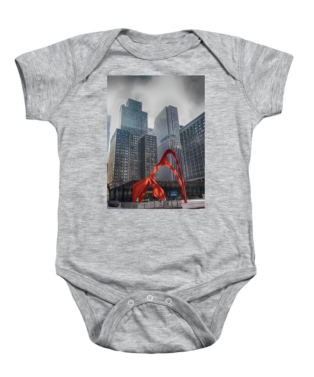 Chicago Baby Onesie featuring the photograph Flamingo #1 by Lauri Novak
