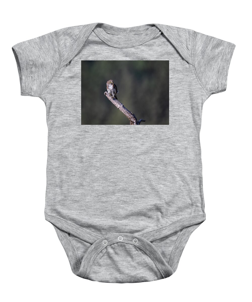 Owl Baby Onesie featuring the photograph Northern Pygmy Owl #1 by Randy Hall