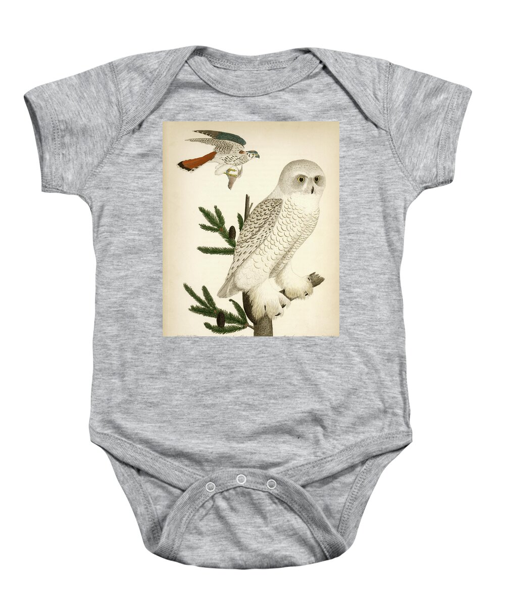 Owl Baby Onesie featuring the mixed media 1. Snow Owl. 2. Male Sparrow-Hawk. by Alexander Wilson
