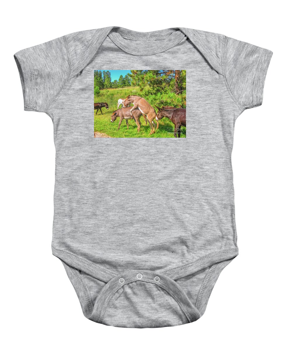 Donkeys Mating Baby Onesie featuring the photograph Wild Donkeys mating by Benny Marty