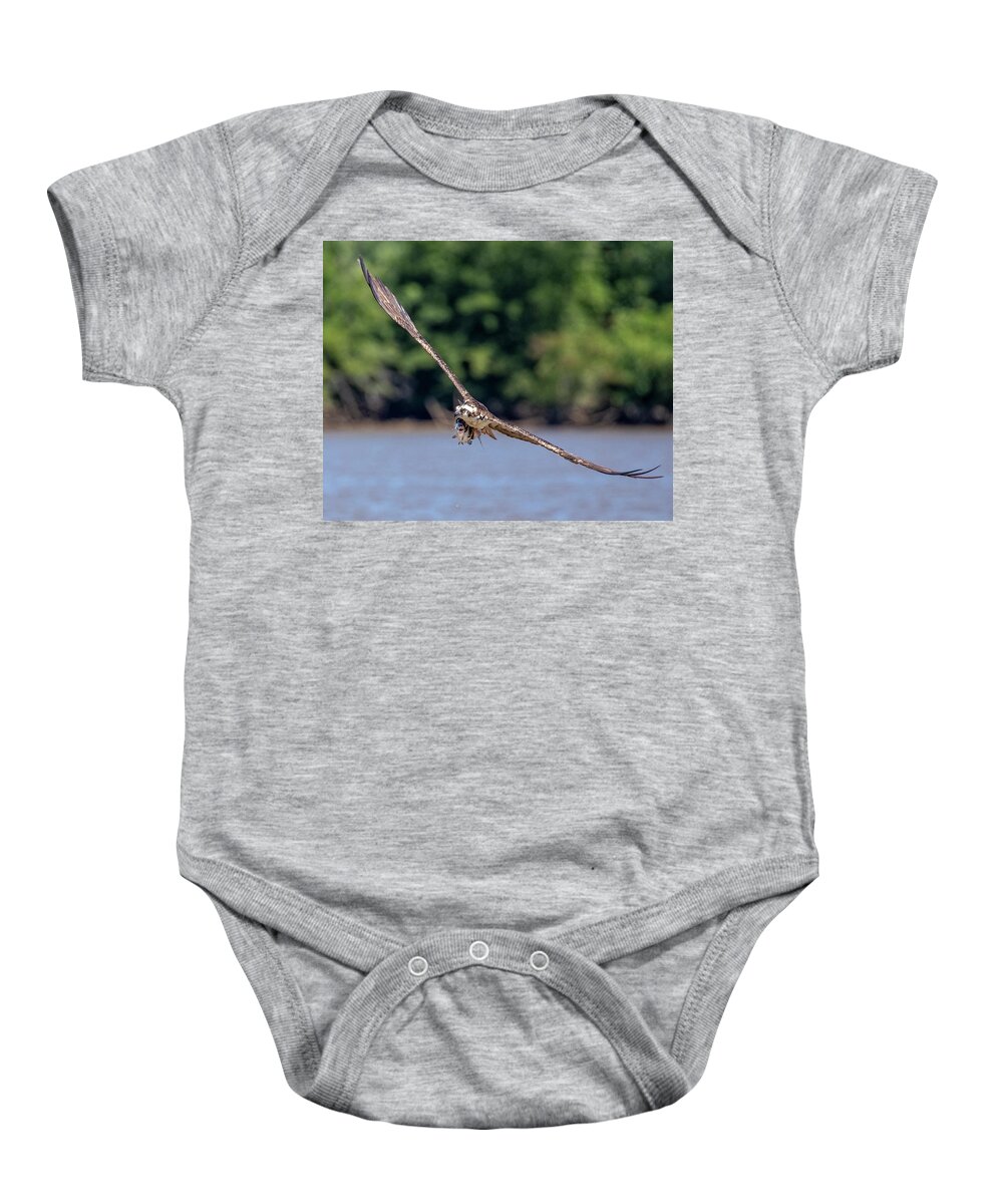 Osprey Baby Onesie featuring the photograph Osprey With Catch #2 by Alan Raasch