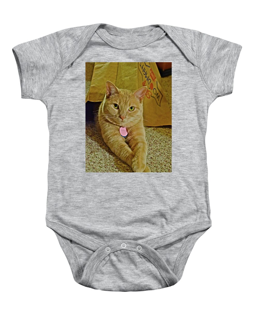 Tabby Cat Baby Onesie featuring the photograph 2018 Sunny Cat Listening to Year's End Political Analysis by Janis Senungetuk