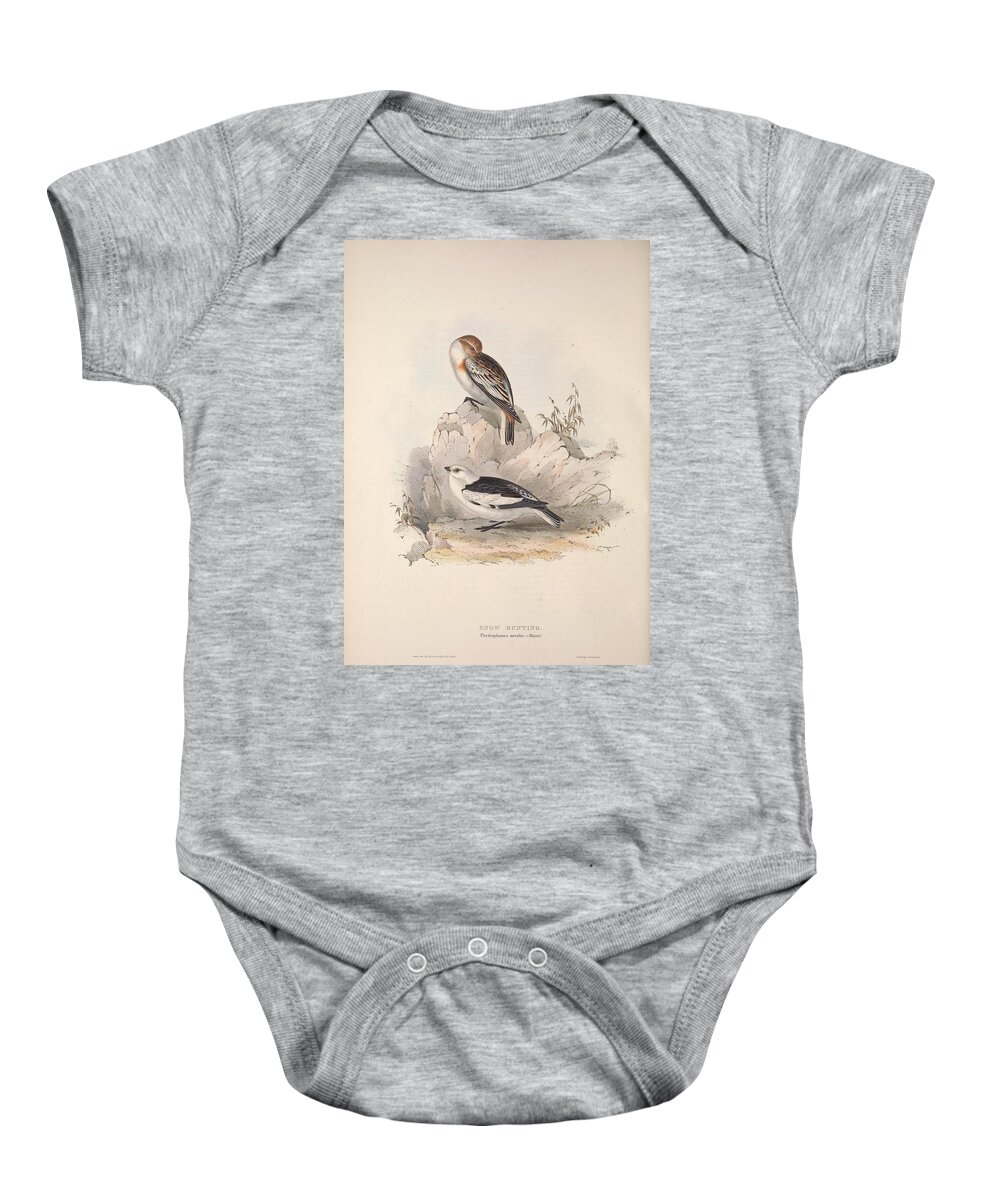 Nature Baby Onesie featuring the painting Different types of birds illustrated by Charles Dessalines D Orbigny 1806-1876 21 #30 by Celestial Images