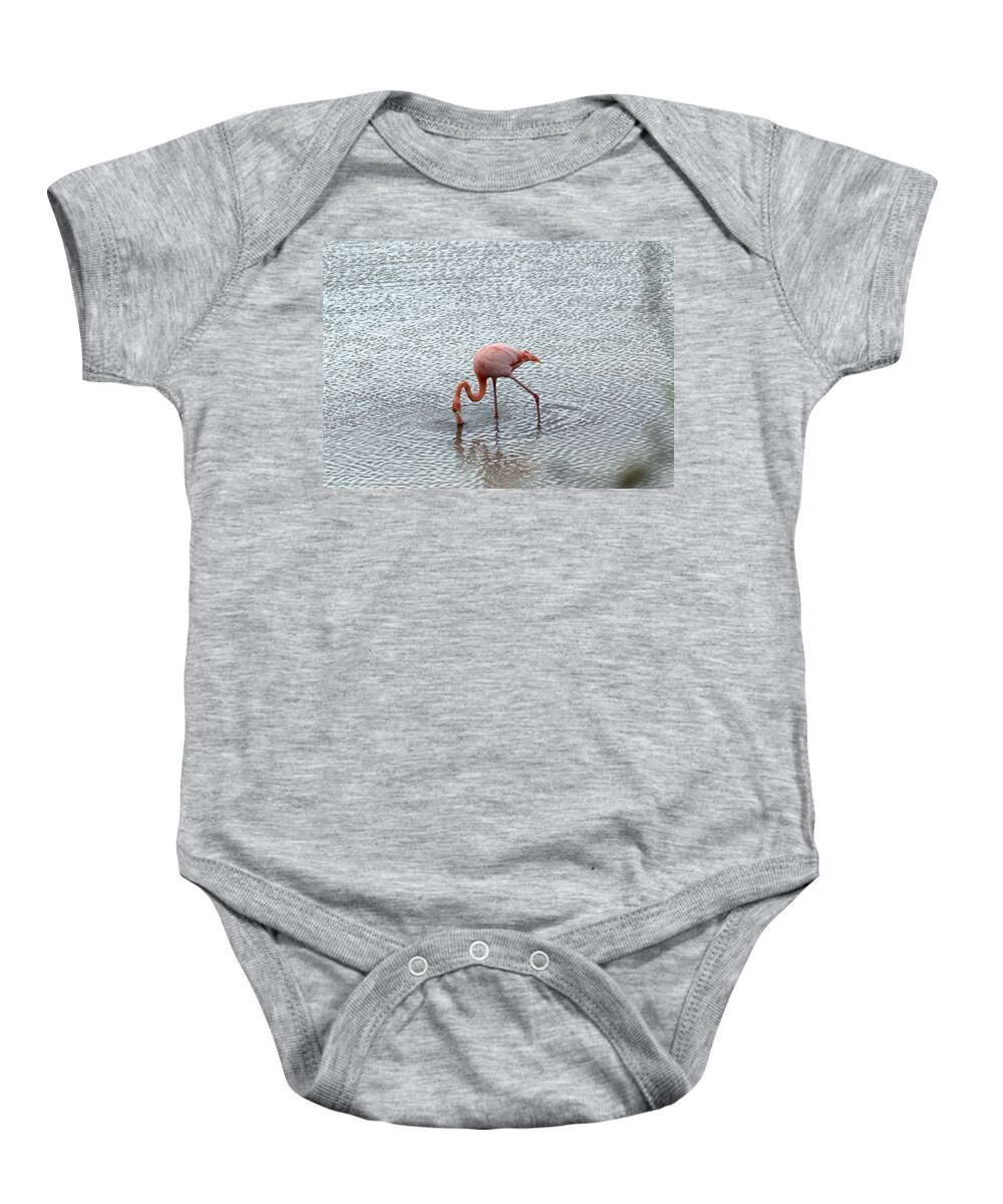 Animal Baby Onesie featuring the photograph Greater Flamingo #4 by Michael Lustbader