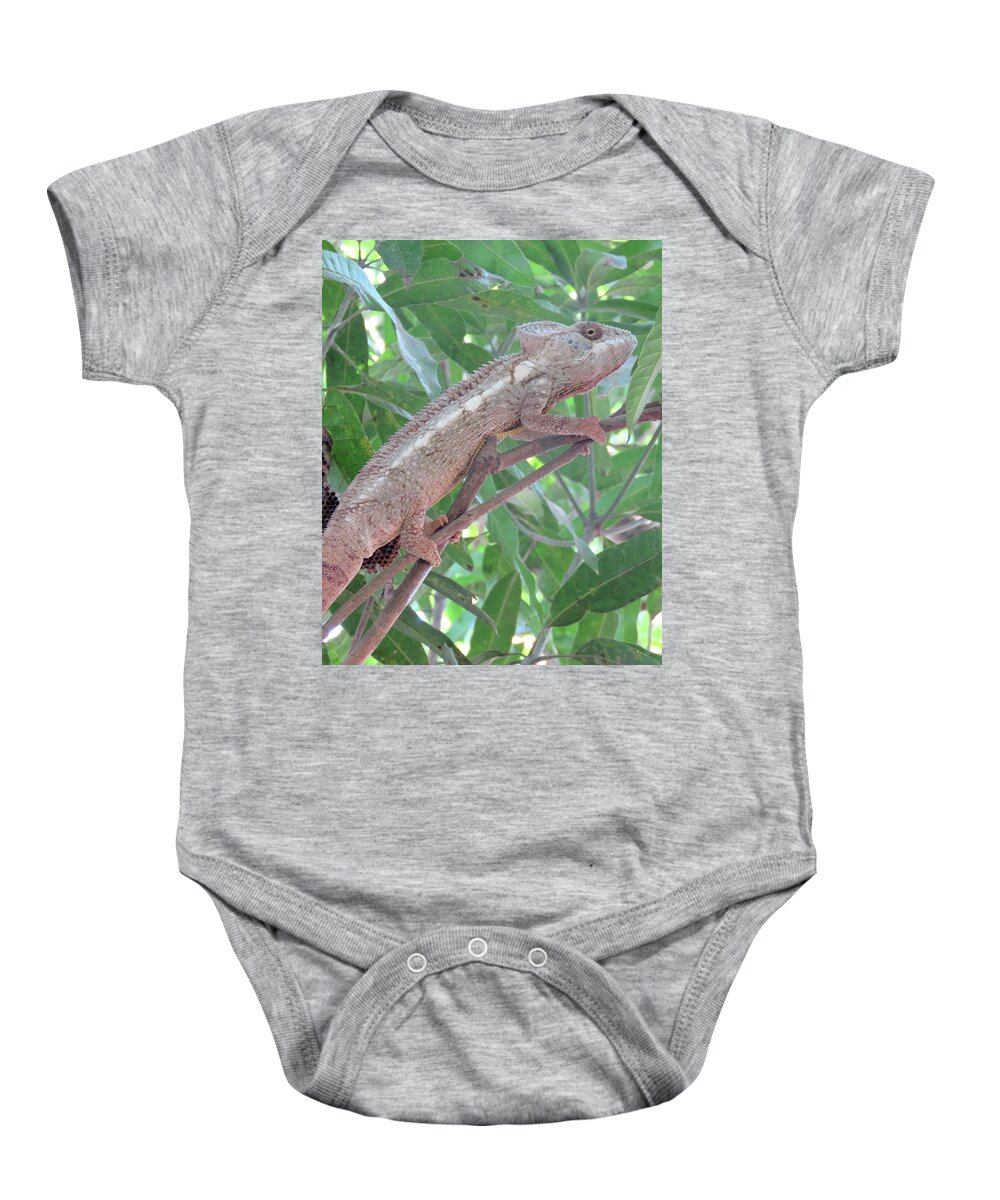 Africa Baby Onesie featuring the photograph 67 by Eric Pengelly