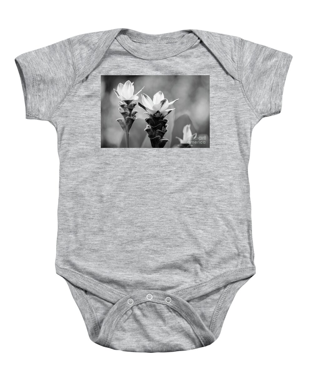 Background Baby Onesie featuring the photograph White Curcuma Flower #9 by Raul Rodriguez