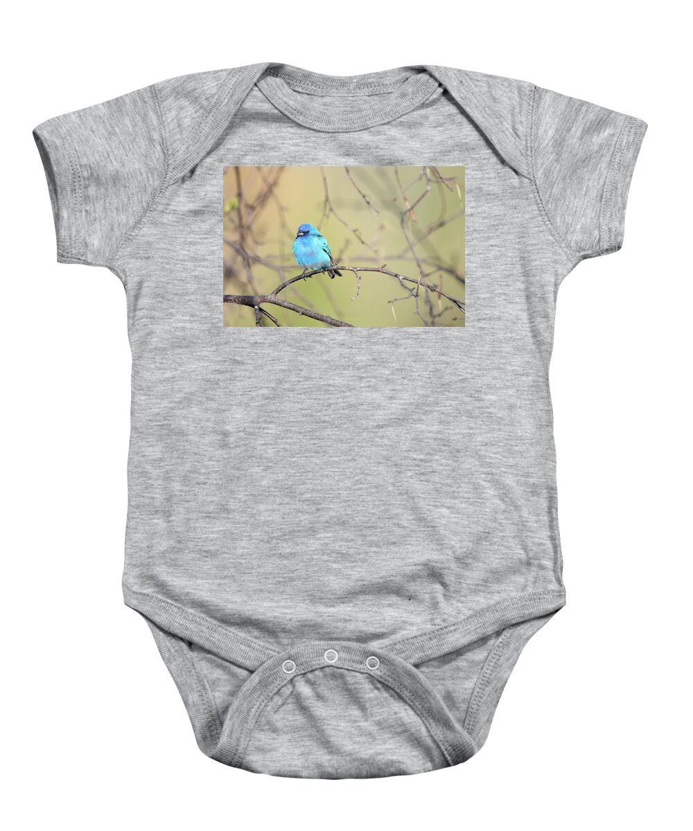 Indigo Bunting Baby Onesie featuring the photograph A beautiful Blue Gem by Brook Burling