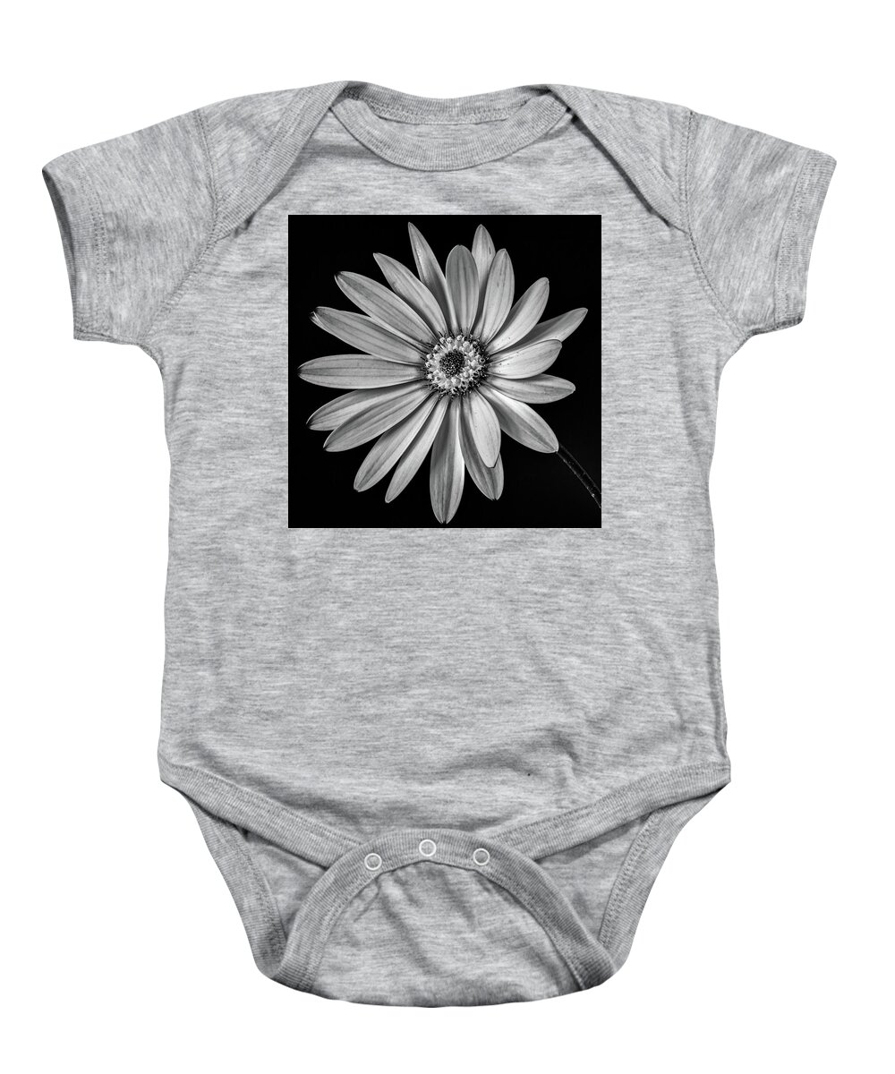 Osteospermum Baby Onesie featuring the photograph African Daisy 1 by Nigel R Bell