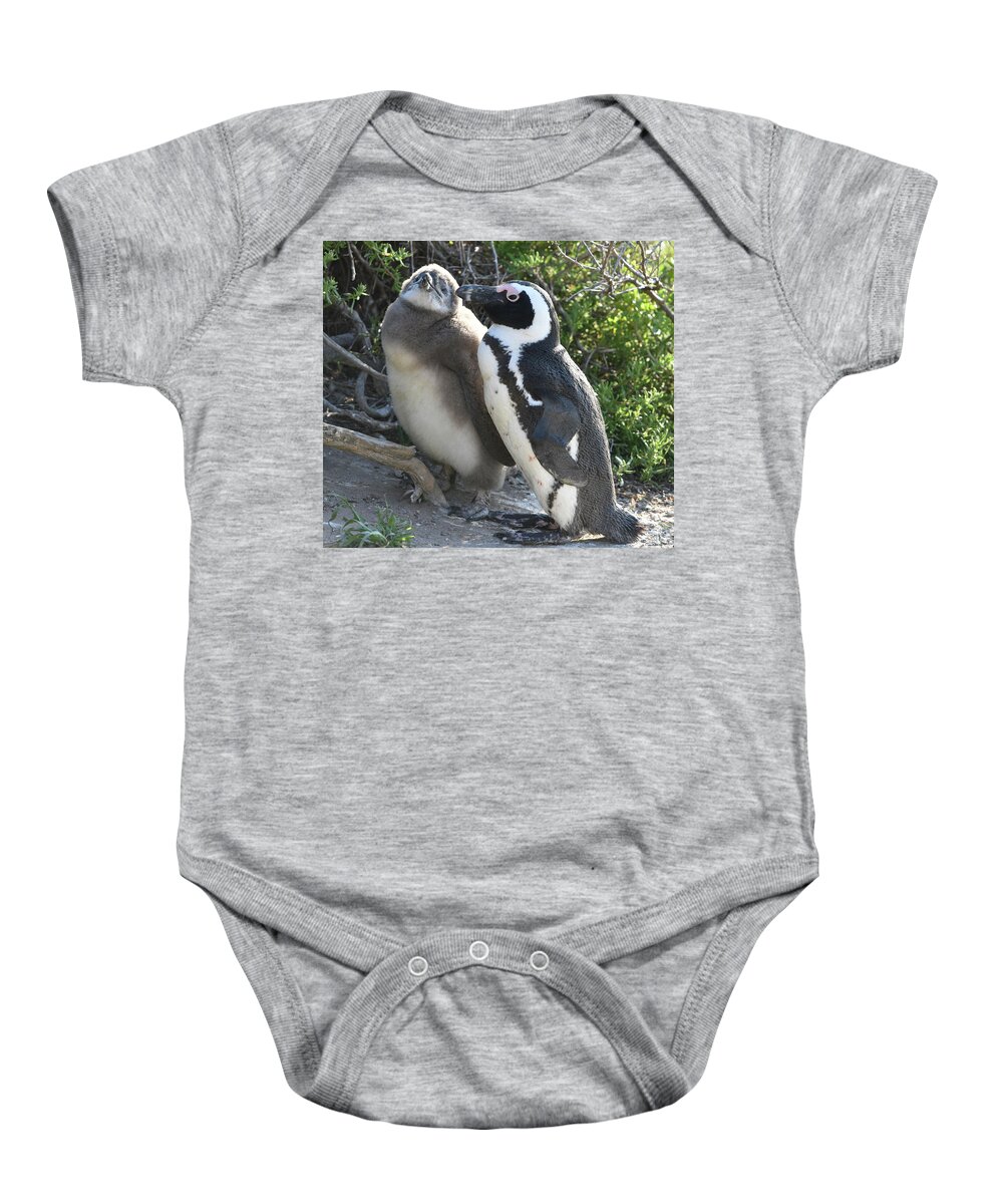 Penguin Baby Onesie featuring the photograph African Penguin with Chick by Ben Foster