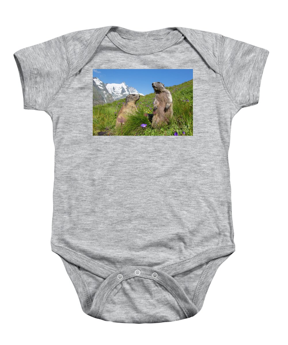 Two Baby Onesie featuring the photograph Alpine Marmot Pair by Arterra Picture Library
