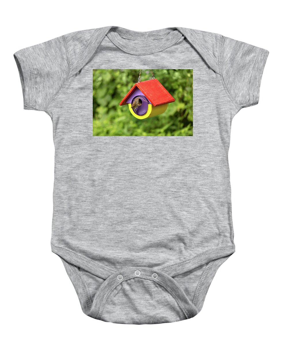 House Wren Baby Onesie featuring the photograph Animal - Bird - The house wren by Mike Savad