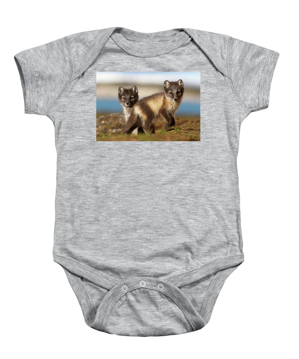 Mp Baby Onesie featuring the photograph Arctic Fox Kits by Jasper Doest